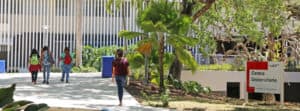 Universitarios crean centros de acopio en solidaridad con el Caribe